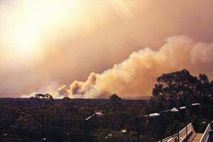 incendiu australia